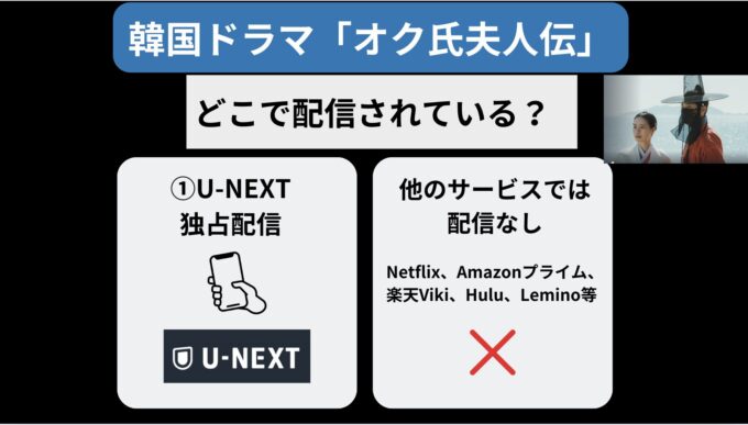 オク氏夫人伝はNetflix等どこで配信されている？